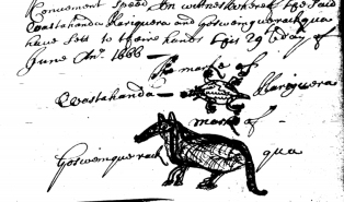 Figure 4.  Signatures of two Susquehannock chiefs—in the forms of a terrapin and a fox on a treaty signed in 1666. 