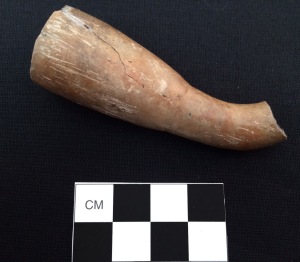 Figure 1.Tulip shaped tobacco pipe from the Pine Bluff site. Tobacco had social and spiritual significance for native peoples and in some cultures, stone pipes were used in treaty ceremonies.