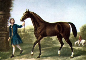 Darley Arabian, one of the three horses from which all Thoroughbreds are descended.  Painting by John Wootton.